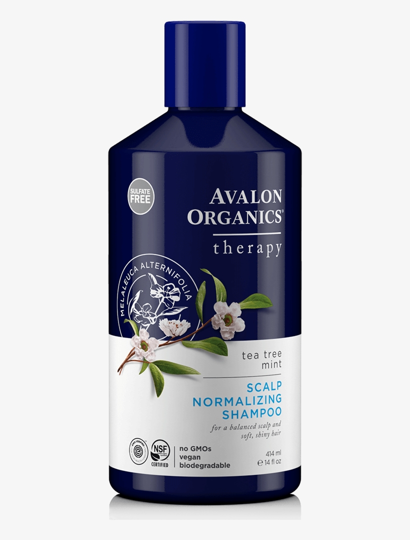 Scalp Normalizing Shampoo - Avalon Organics Shampoo Biotin, transparent png download