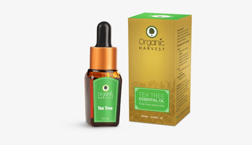 Organic Harvest Tea Tree - Organic Harvest Hair Oil, transparent png download