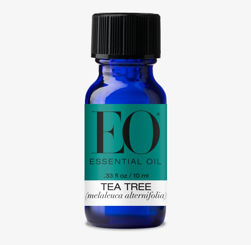Eo Pure Essential Oil Tea Tree - Eo Products - Everyone Aromatherapy Singles Essential, transparent png download