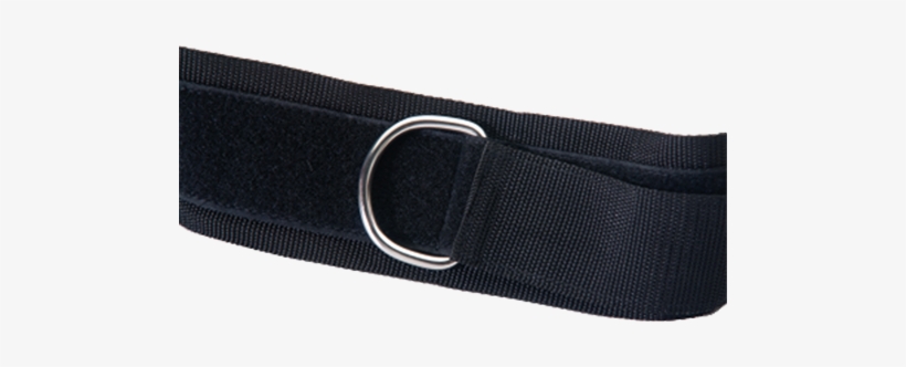 Belt, transparent png download