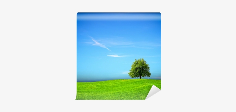 Literature + Myliteraturelab Access Card, transparent png download