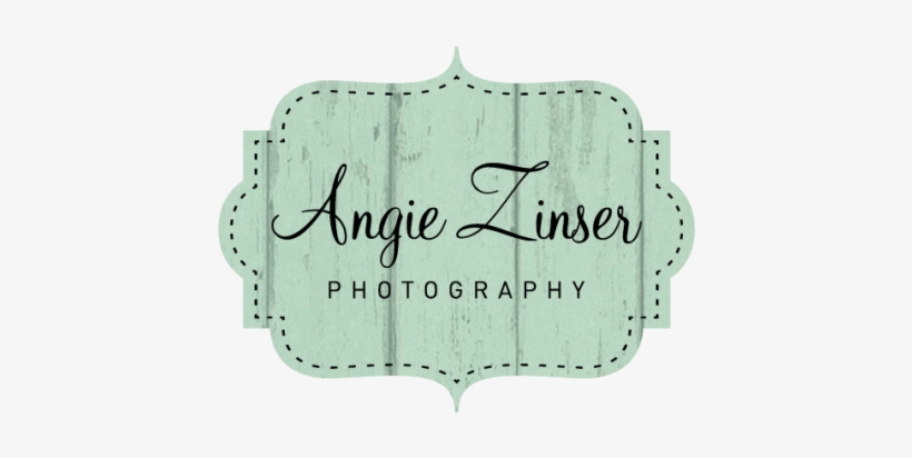 Angie Zinser Photography Logo - Photography, transparent png download