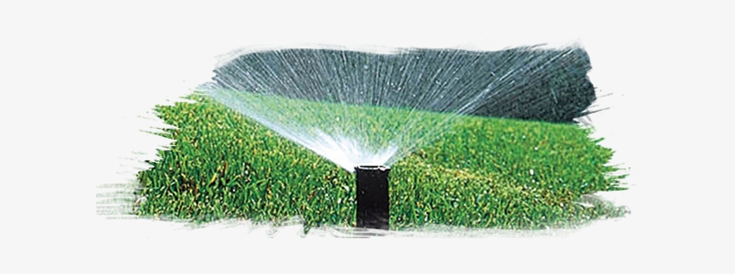 Irrigation1 04 - Lawn, transparent png download