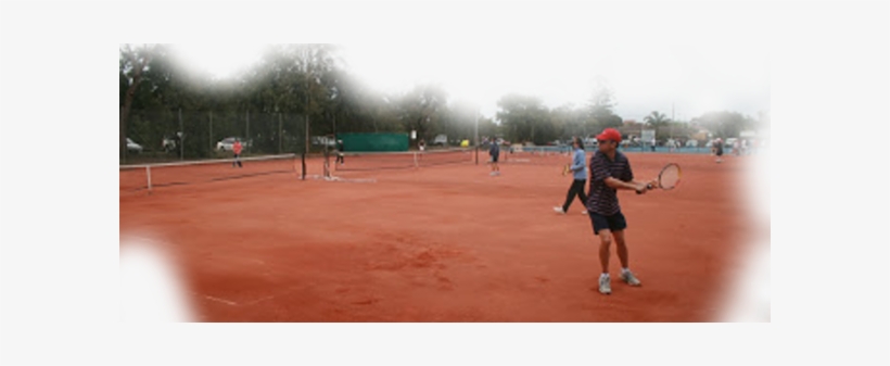 Social Tennis Cardio Tennis Monday Nights - Soft Tennis, transparent png download