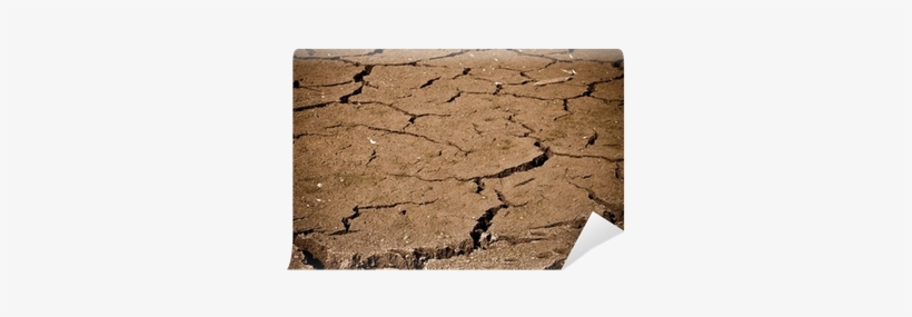 Crack In Ground, transparent png download