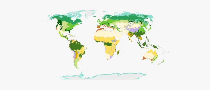 Temperate Grasslands Of The World, transparent png download