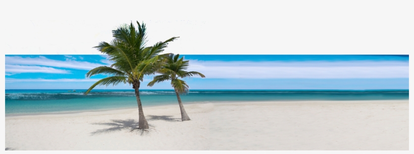 Tradewind Irrigation Inground Sprinkler Specialists - Tradewind Irrigation Llc, transparent png download