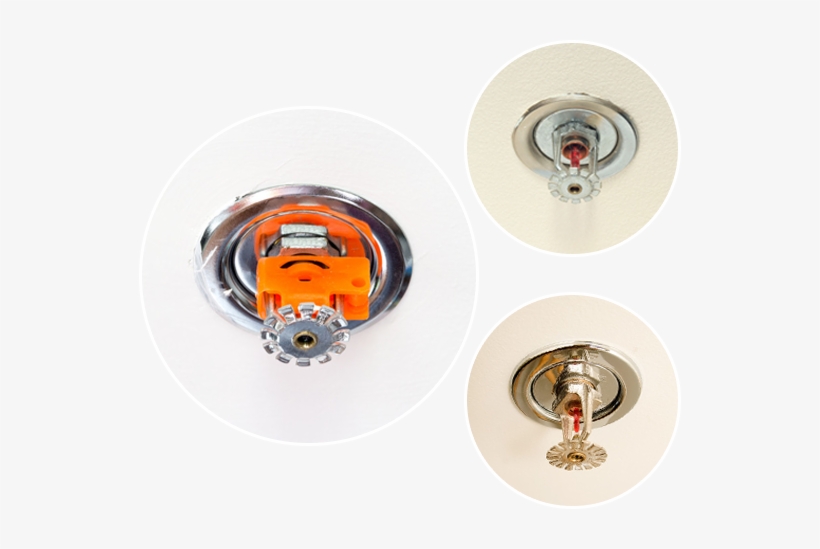Fire Sprinkler Pace 24 Hr Service - Pace Corporation, transparent png download