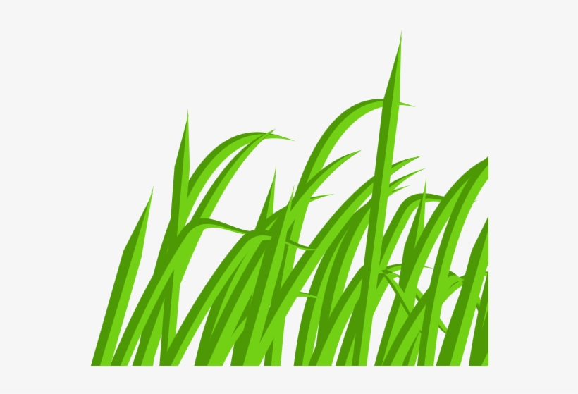 Clip Art, transparent png download