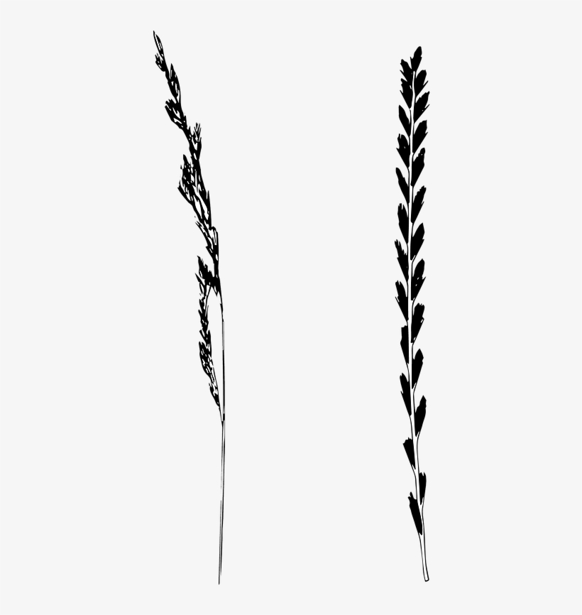 Game Ear,blade Of Grass, - Video Game, transparent png download