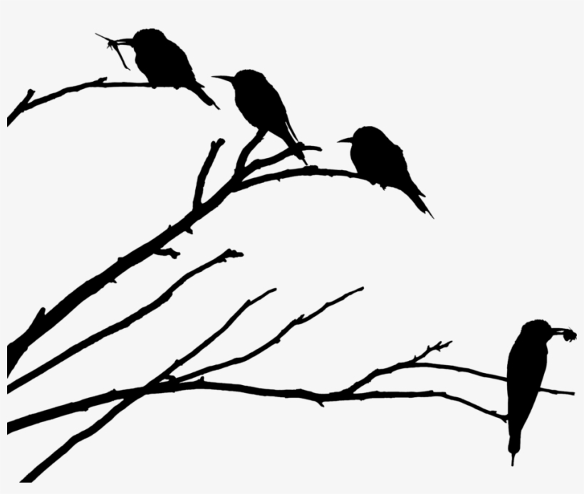 European Bee-eater Bird Western Honey Bee Silhouette - Bird On Branch Silhouette Png, transparent png download