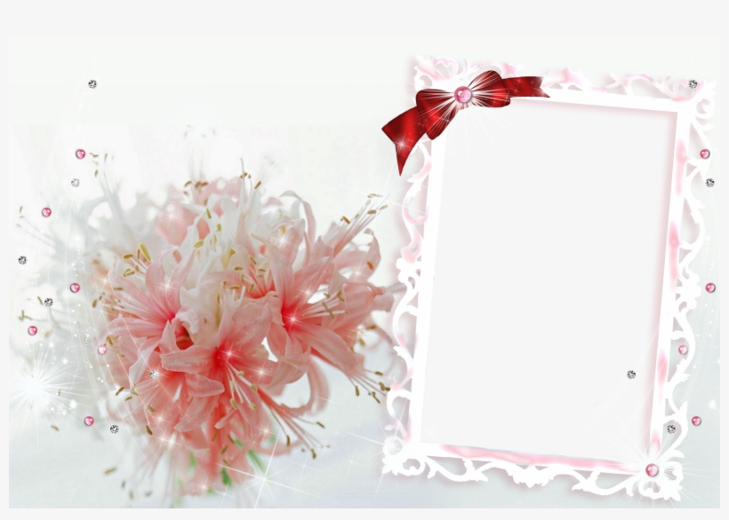 Download Do Pacote Molduras Para Foto Com Varios Tom - Purple, transparent png download