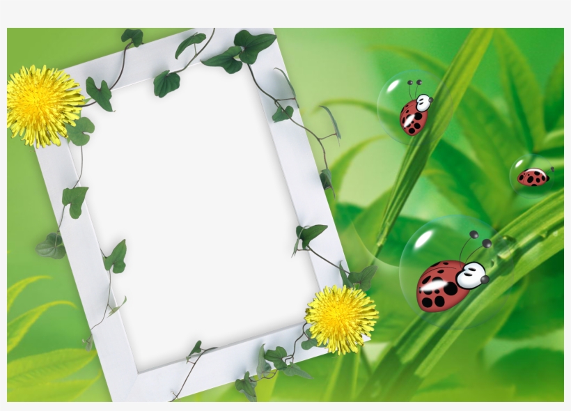 Wallpapers Molduras Def - Baby Shower, transparent png download