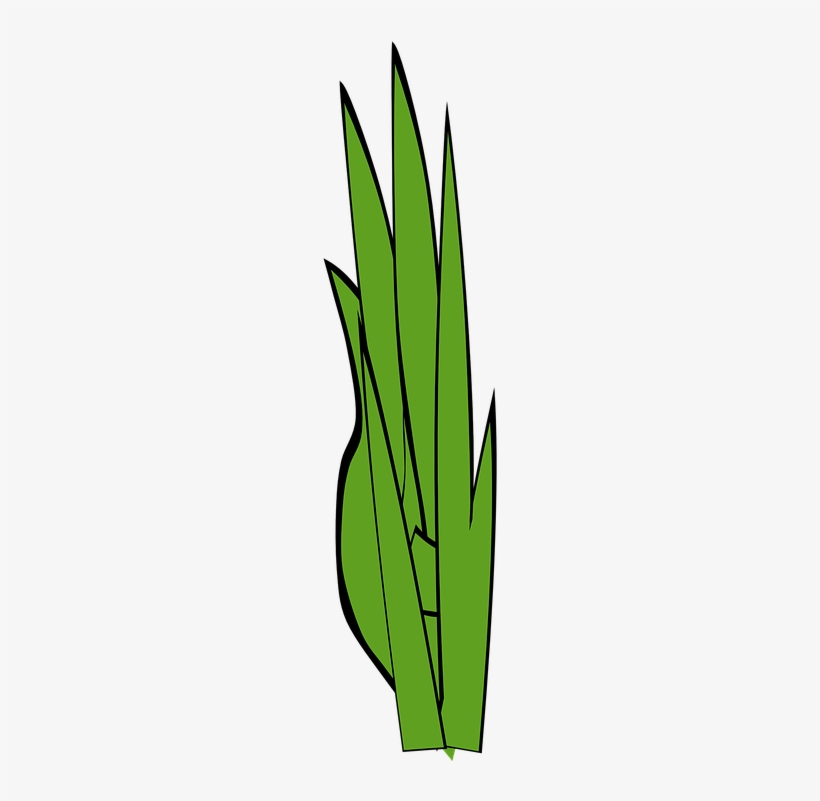 Grass Clip Art At Clker Vector Clip Art Online Royalty - Openclipart, transparent png download