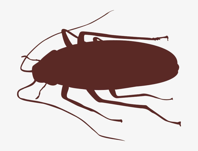 How To Get Rid Of Cockroaches And Other Bugs Bug Buster - Cockroach Silhouette Png, transparent png download