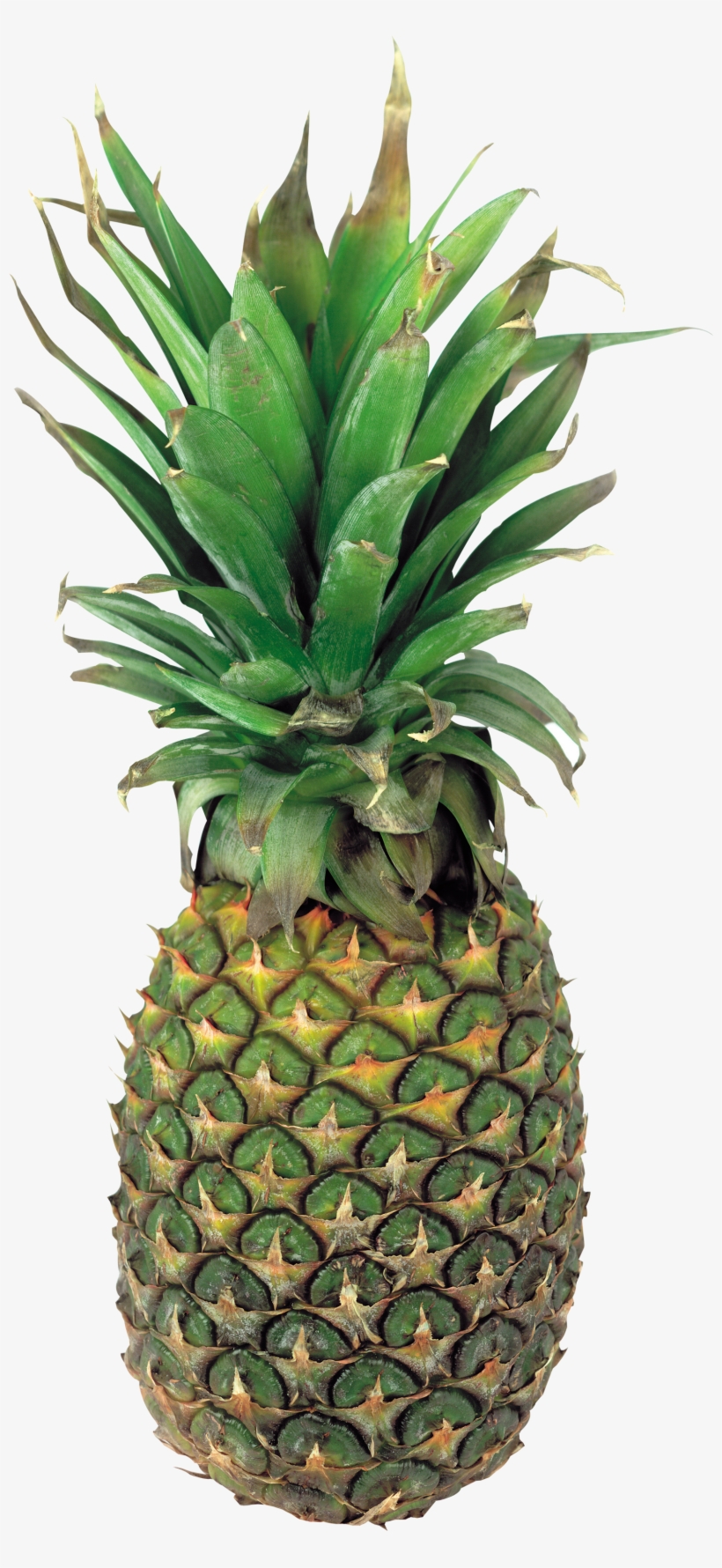 Pineapple Png Image, Free Download - Green Pineapple Png, transparent png download