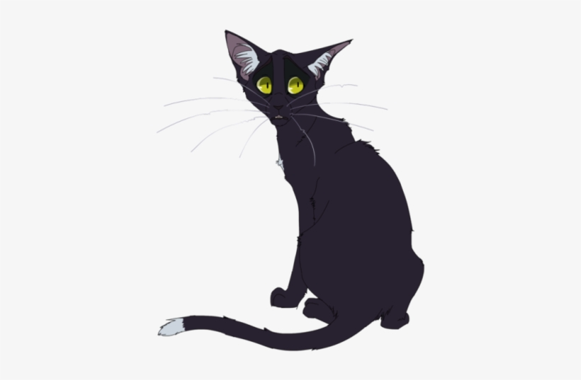 Halfheart - Warriors Cats Free To Use, transparent png download