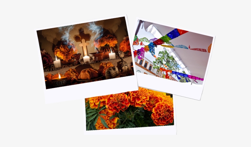 Altares - Altar, transparent png download