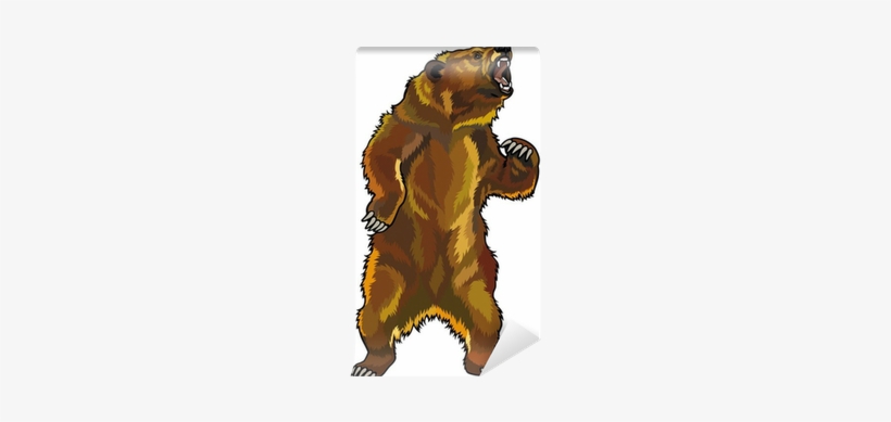 Grizzly Bear Clipart, transparent png download