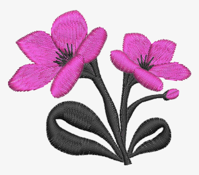 Flower, transparent png download