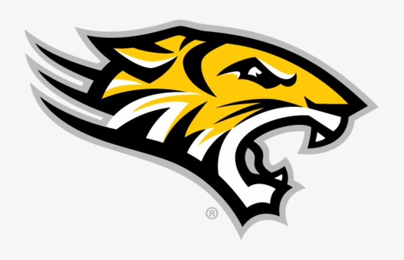 Format - Towson University Tiger, transparent png download