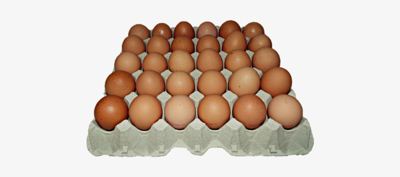 El Huevo M Urigereka “granel” Se Envasa En Bandejas - Caja De Huevos Png, transparent png download