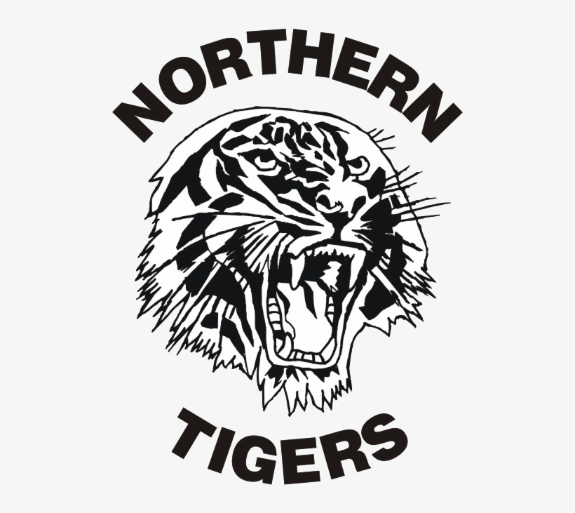Representative Football In The Northern Suburbs Of - Northern Tigers, transparent png download