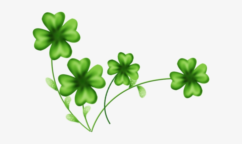 Tube St Patrick - Trèfles Png, transparent png download