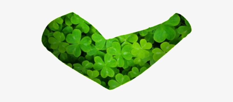 Clovers Compression Arm Sleeve - Arm Warmer, transparent png download