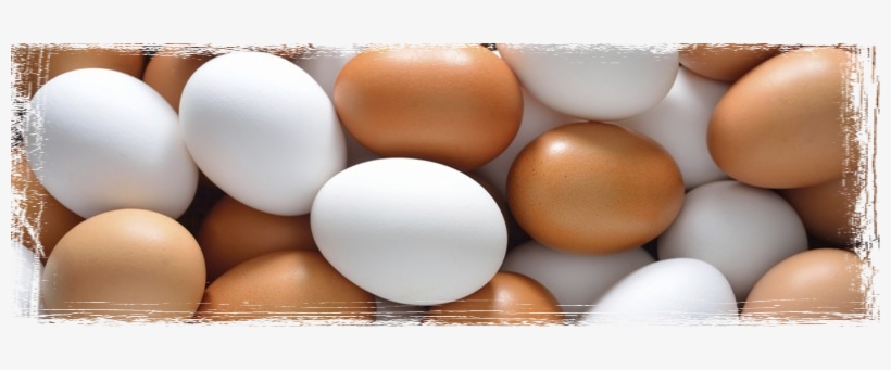 Huevo, transparent png download