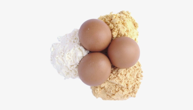 Huevo En Polvo - Powdered Eggs, transparent png download