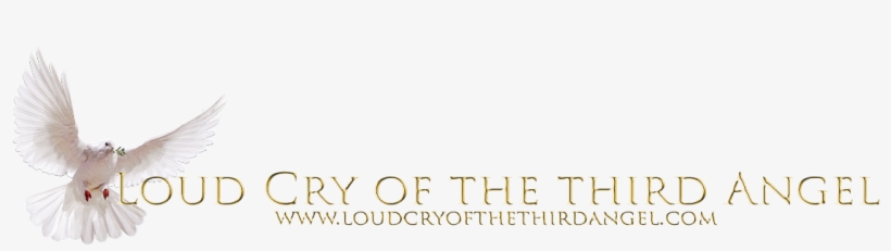 Loud Cry New Logo 2018 Gold - Gold, transparent png download