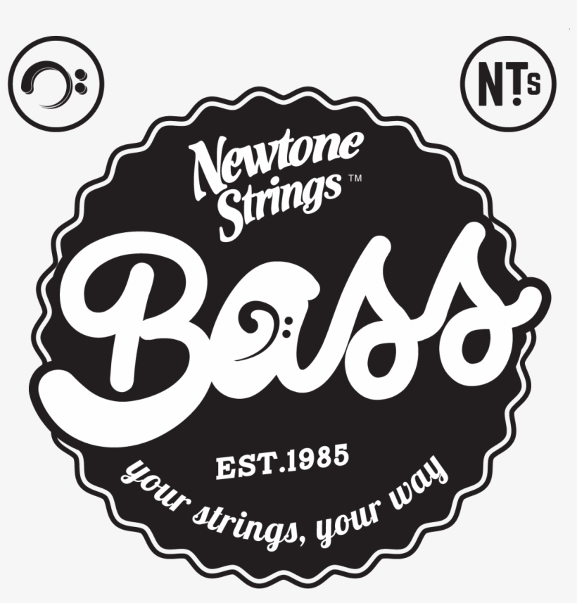 Bass-front - String, transparent png download