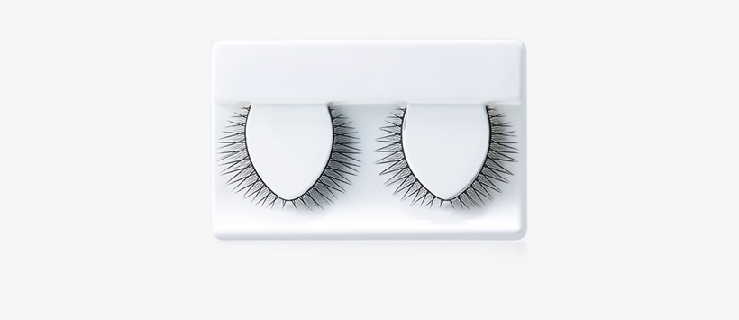 [innisfree] Volume Eyelashes-2pairs - Innisfree Special Eyelashes 2 Pairs, transparent png download