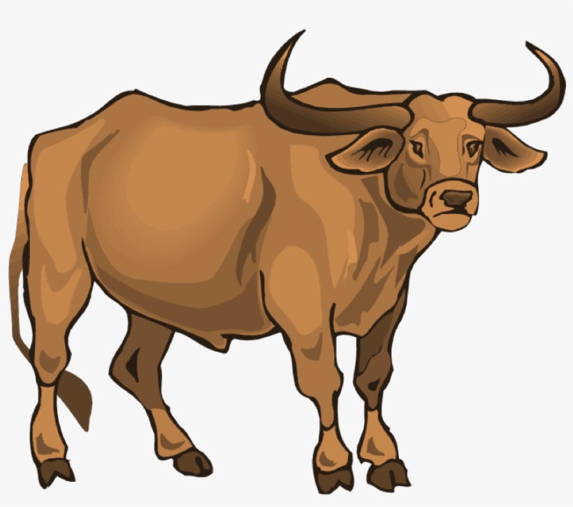 Lost Creek Longhorn - Longhorn Steakhouse, transparent png download