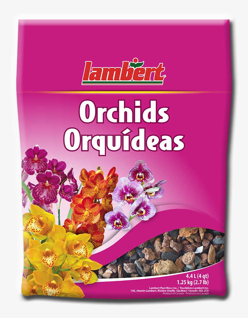 Breakfast Cereal, transparent png download