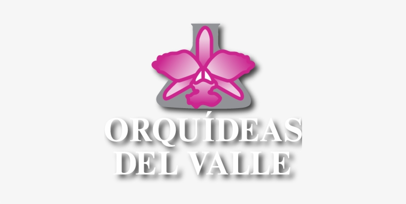 Orquídeas Del Valle - Graphic Design, transparent png download