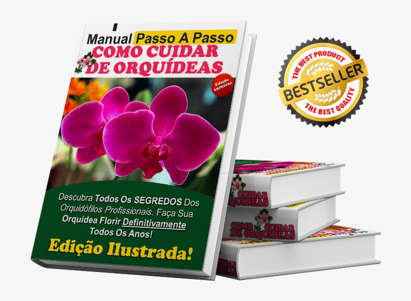 Manual Passo A Passo Como Cuidar De Orquídeas - - Bulbamerica 64258 Hlx 20 Watts 12 Volts G4 2-pin Halogen, transparent png download