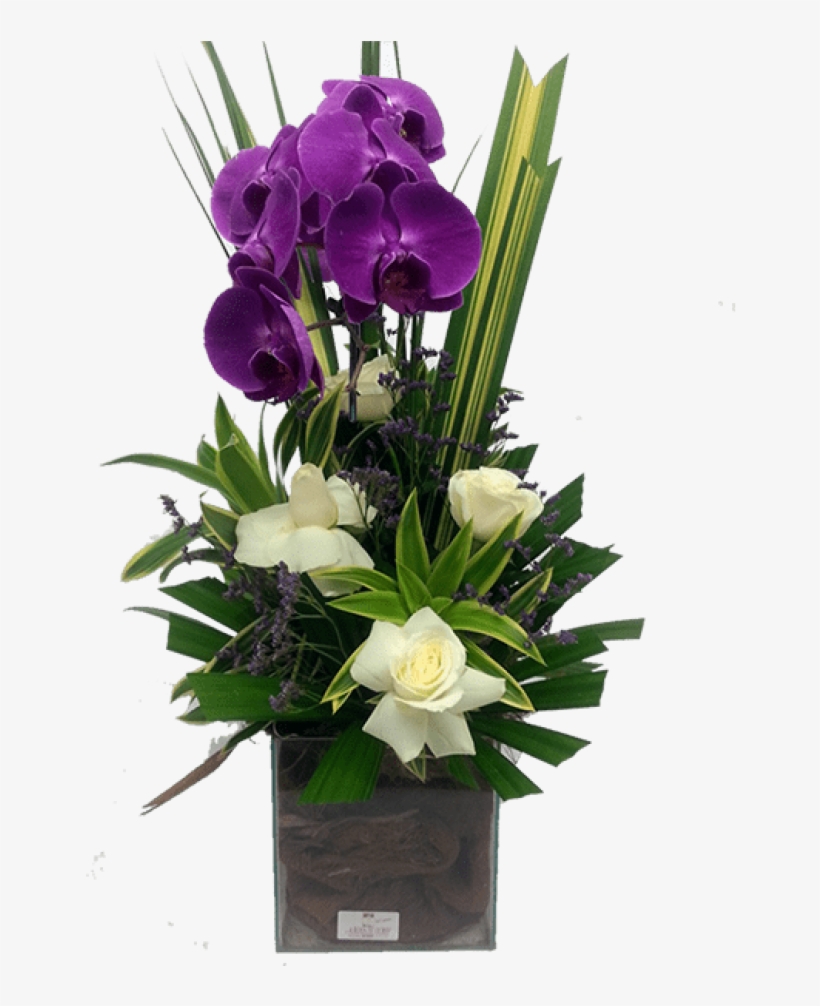 Orquideas Vanda Como Cuidar - Orquidea Roxa, transparent png download