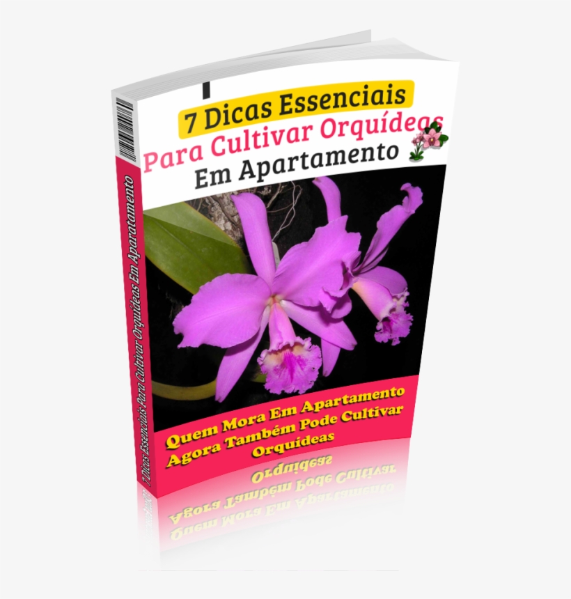 Manual Como Cuidar De Orquídeas - Book, transparent png download