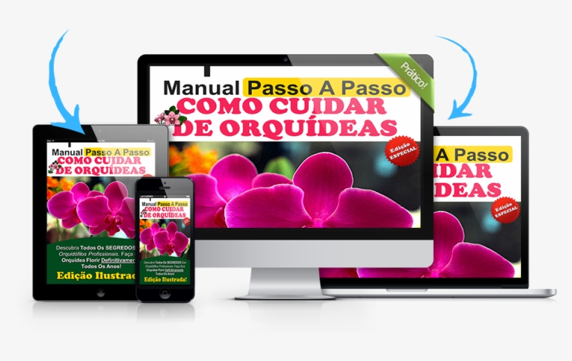 Manual Como Cuidar De Orquidea - Social Media Screens, transparent png download