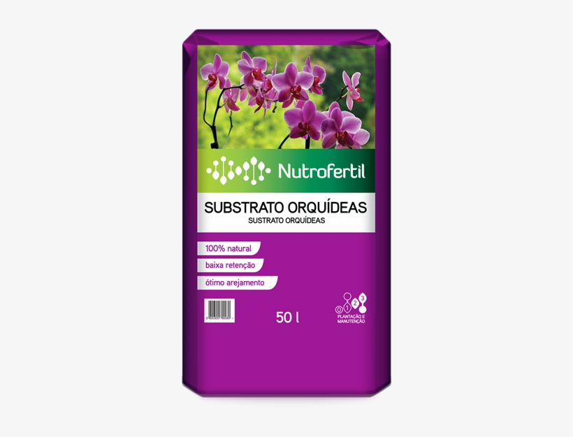 Solicite-nos Um Orçamento - Moth Orchid, transparent png download