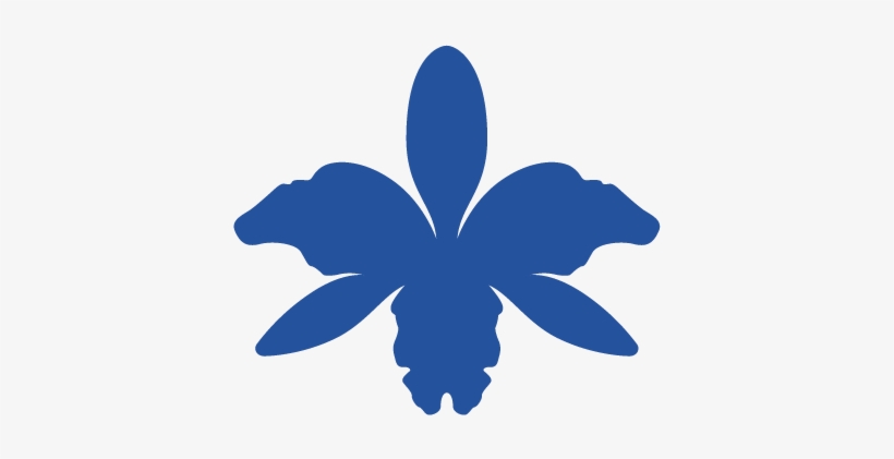 6 Festival De Cine La Orquídea Cuenca - Festival De Cine La Orquídea Cuenca, transparent png download