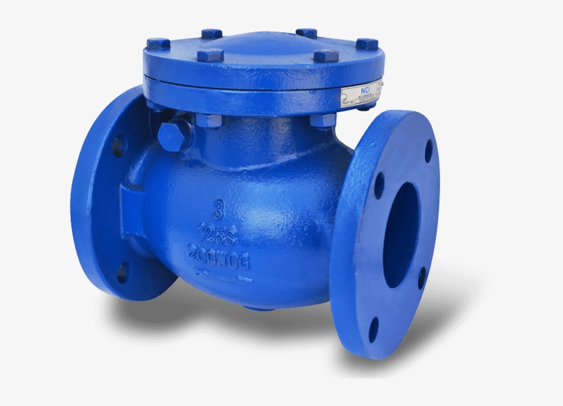 Discover Today The Many Reasons Why Nci Canada Inc - Check Valve, transparent png download