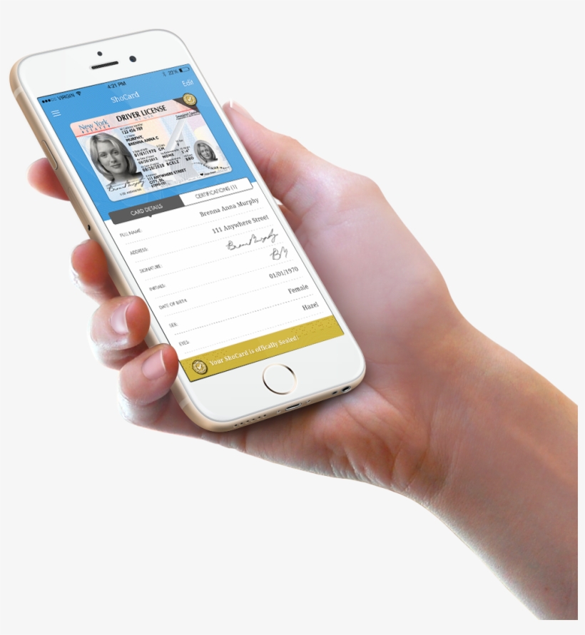 Shocard Has Raised $1 - Pulse Wave Velocity Scale, transparent png download
