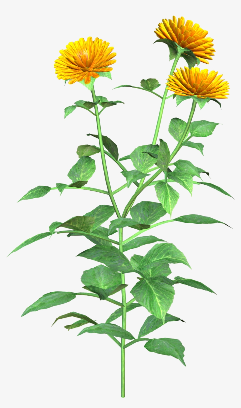 Clipart Info - Graphics, transparent png download