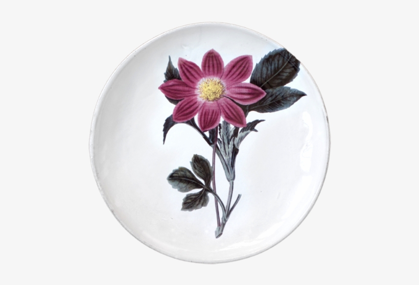 Purple Dahlia Flower Dinner Plate - Assiette Astier De Villatte, transparent png download