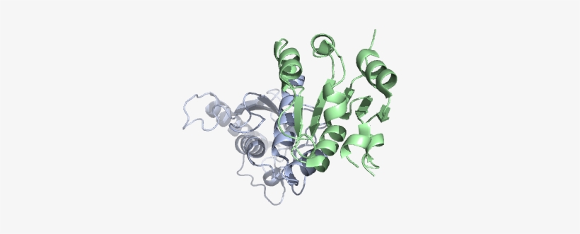 2y9m 4bwf 2y9p - Cartoon, transparent png download