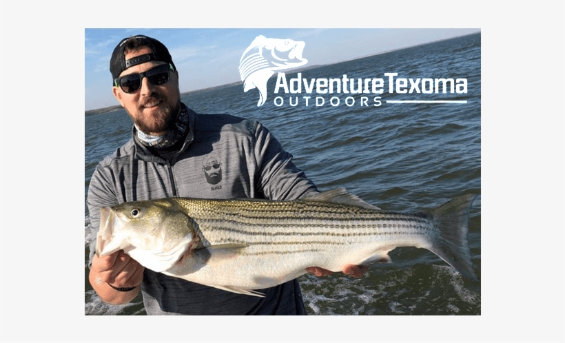 Lake Texoma Fishing License, Fishing Lake Texoma - Lake Texoma, transparent png download