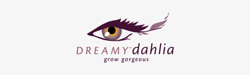 Dahlia 'dreamy® Days' - Dahlia Dreamy, transparent png download